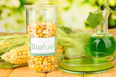 Copenhagen biofuel availability